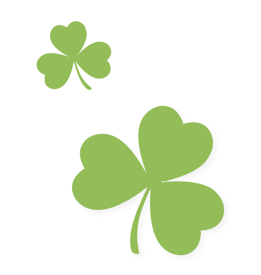 Little Shams Graphic